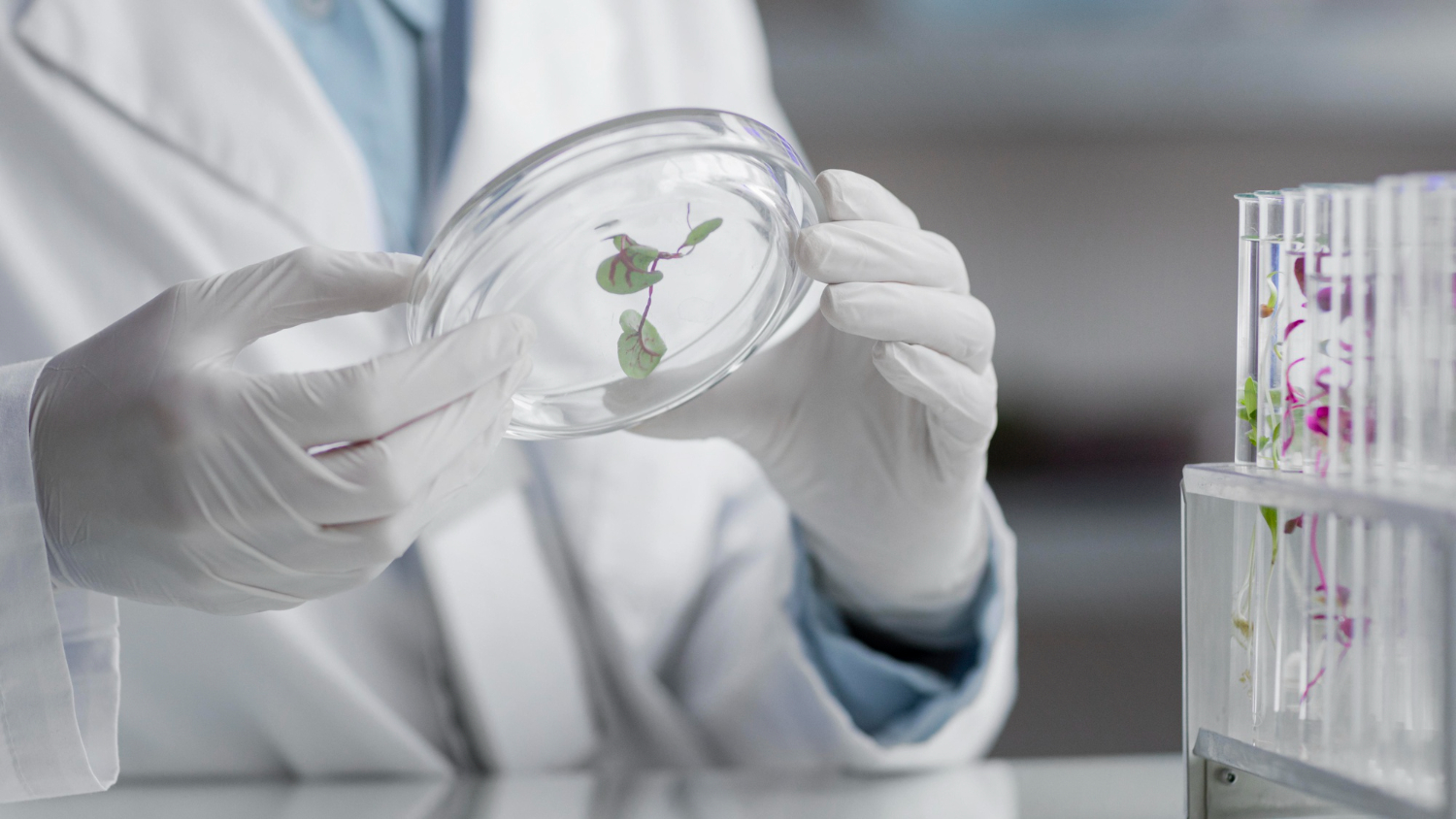 Inversiones en biotecnología, la oportunidad para clientes de alto patrimonio 
