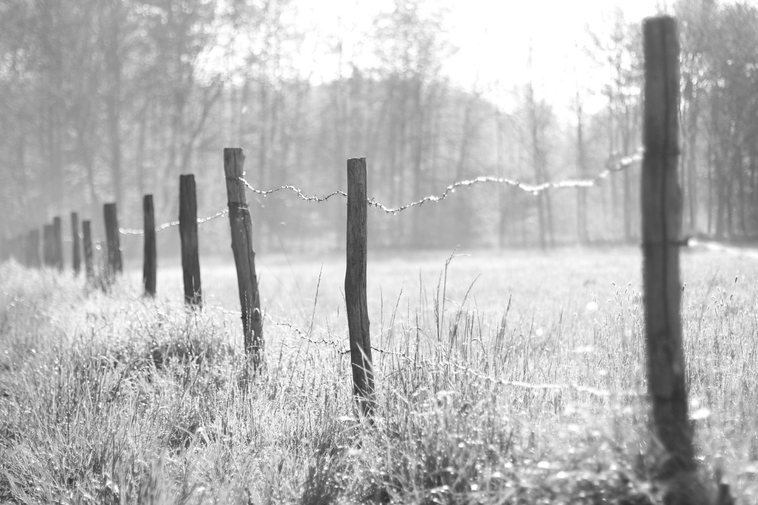La extensión de la chacra