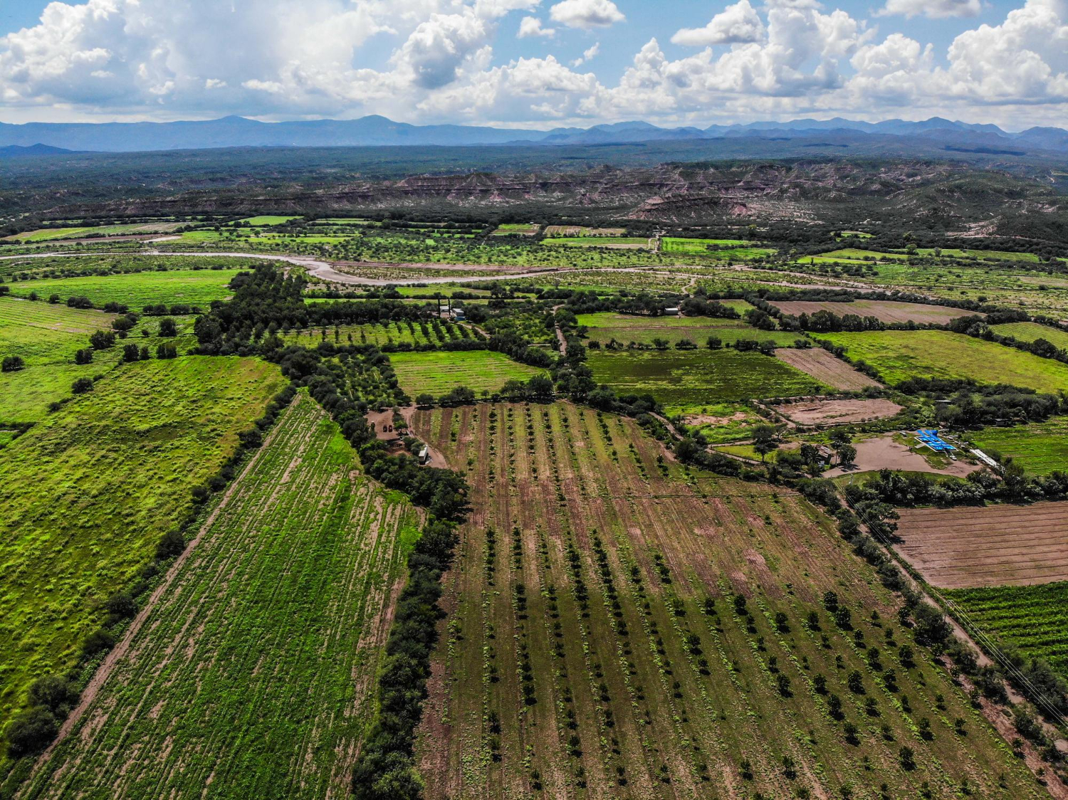 El régimen de propiedad de la tierra