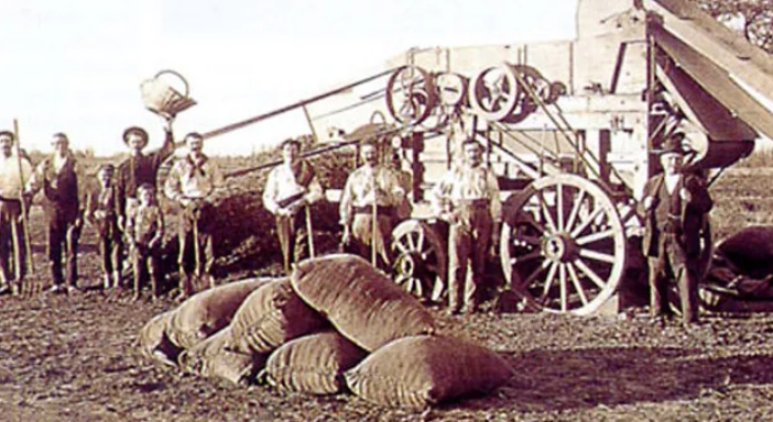 Exportación y consumo interno de los productos agrícolas.