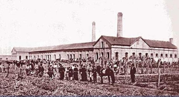 La industria azucarera