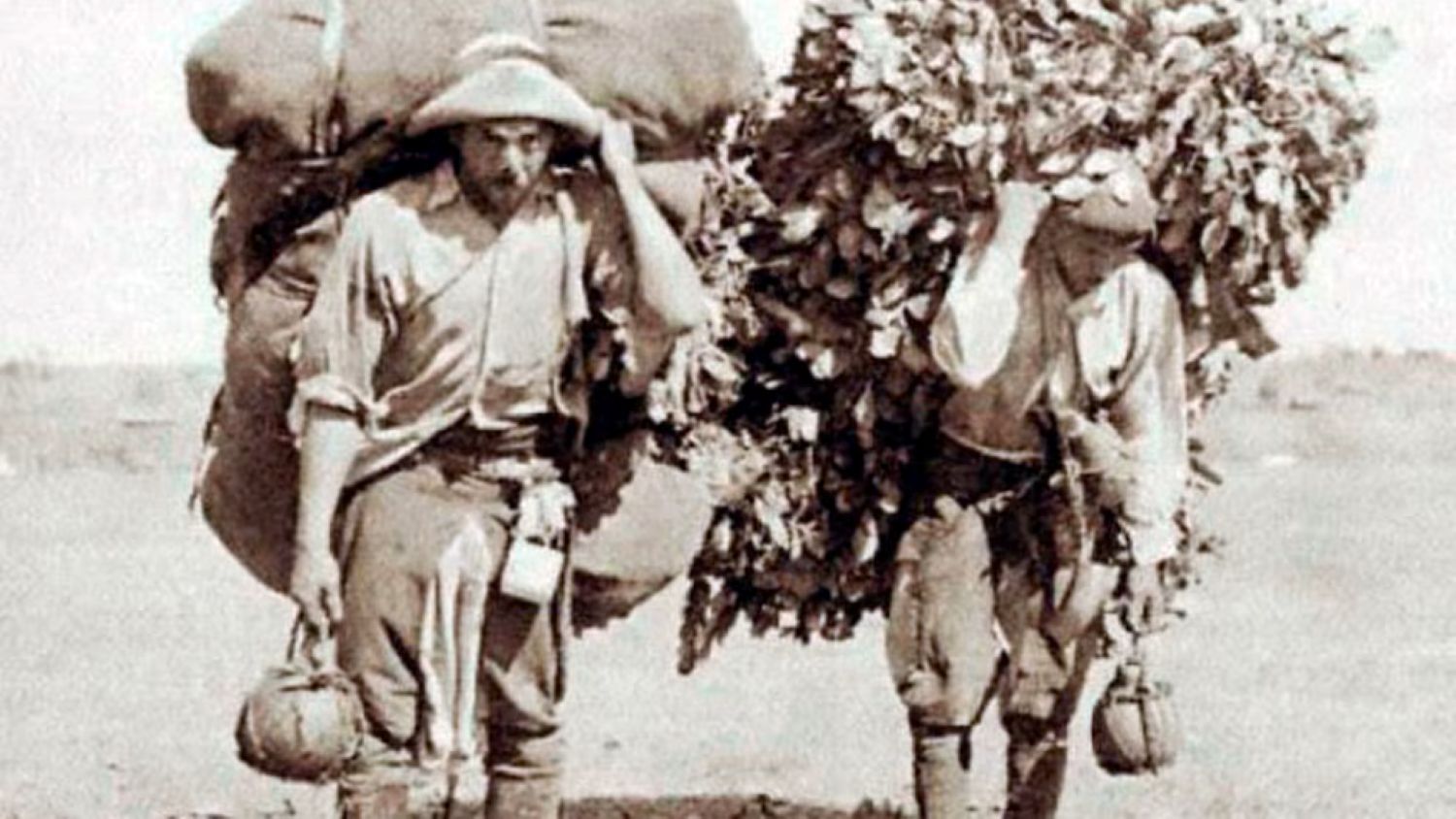 La industria yerbatera