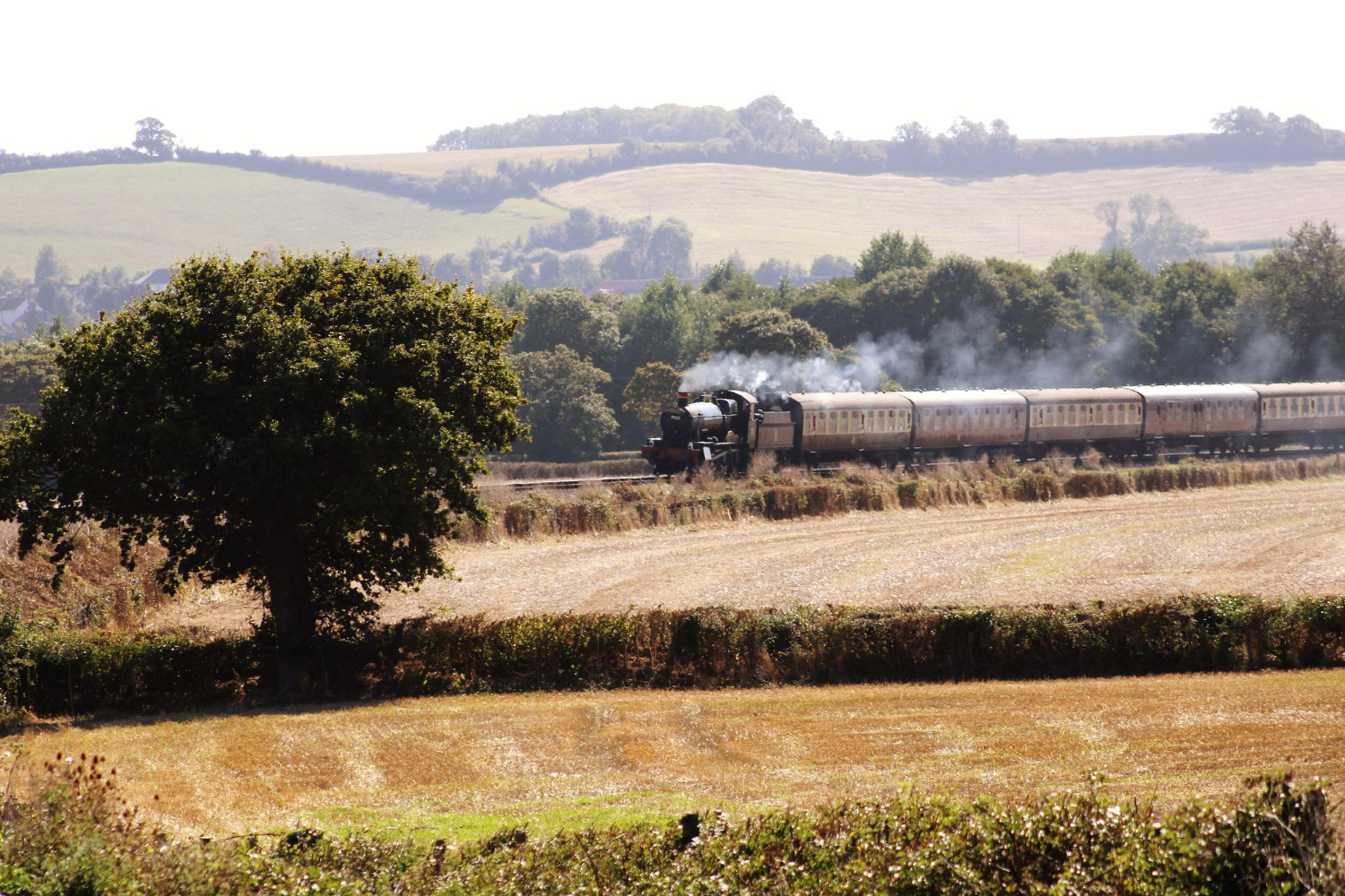 El problema de la Argentina y el desarrollado 