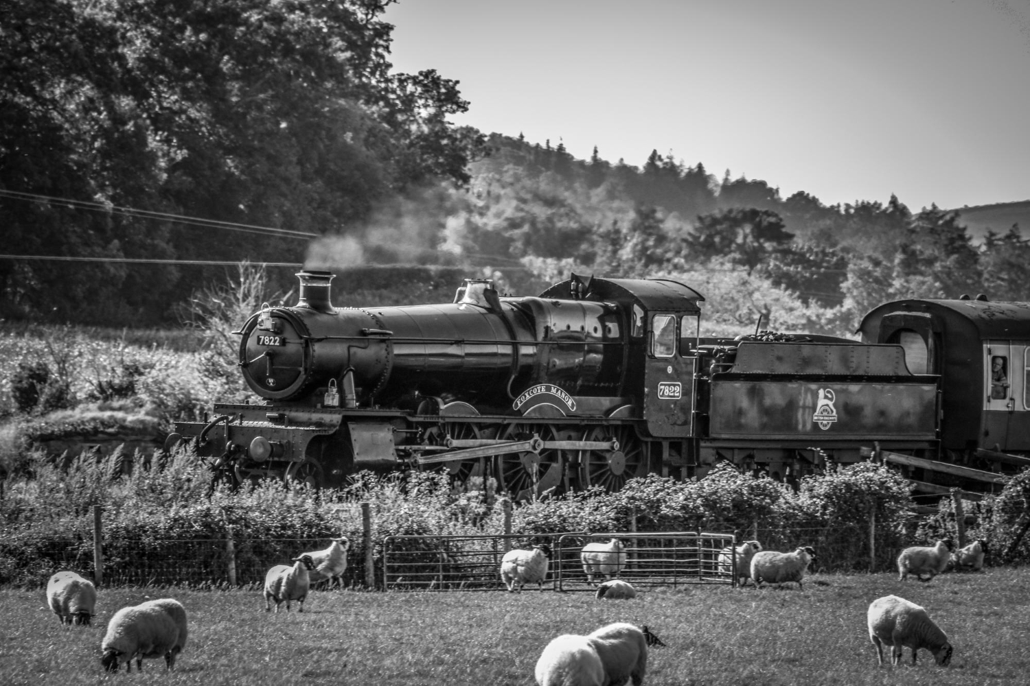 Los ramales contribuyeron a la formación de los bloques y al encierro en el litoral